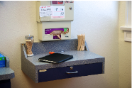 iPad in the Clinic